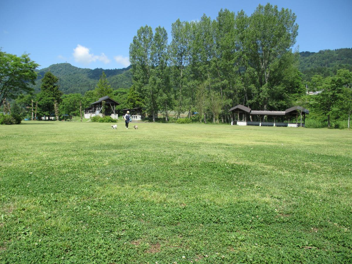 Togari Onsen Alpen Plaza Hotel Iiyama Екстериор снимка